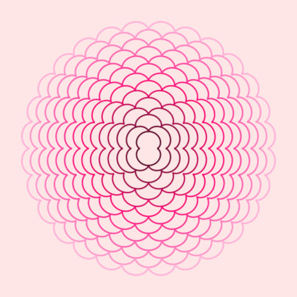 Parametric curves stacked, colored from purple to magenta. The curves are 'polyfoils' with an even number of leaves.
				 Smallest is a nephroid, then a quatrefoil, then a sexfoil, etc.